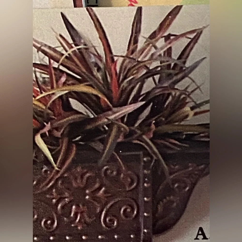 VARIEGATED SPIDER BUSH (1) (faux). Home Interiors. 14” high - Picture 6 of 7